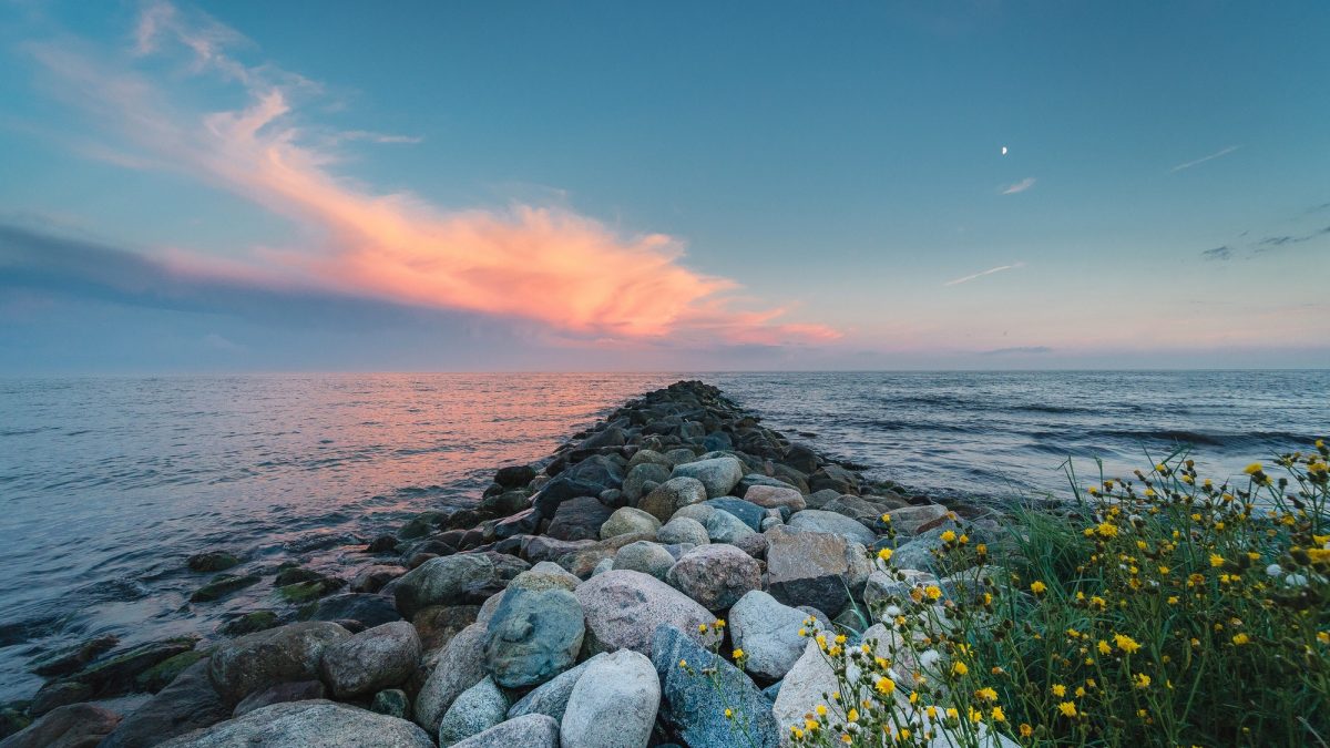 A groyne on the south coast of Sweden